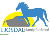 Reittherapiestunden auf Isländerhof in Heimisbach BE