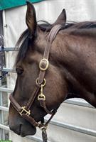 Braunes Lederhalfter WB von Loesdau