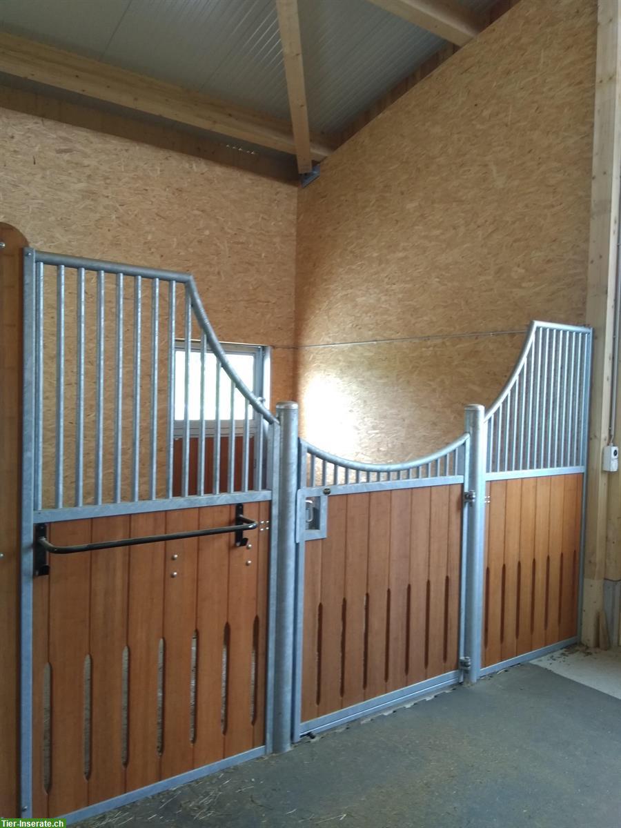 Bild 3: Auslaufboxe zu vermieten in Freidorf im Thurgau