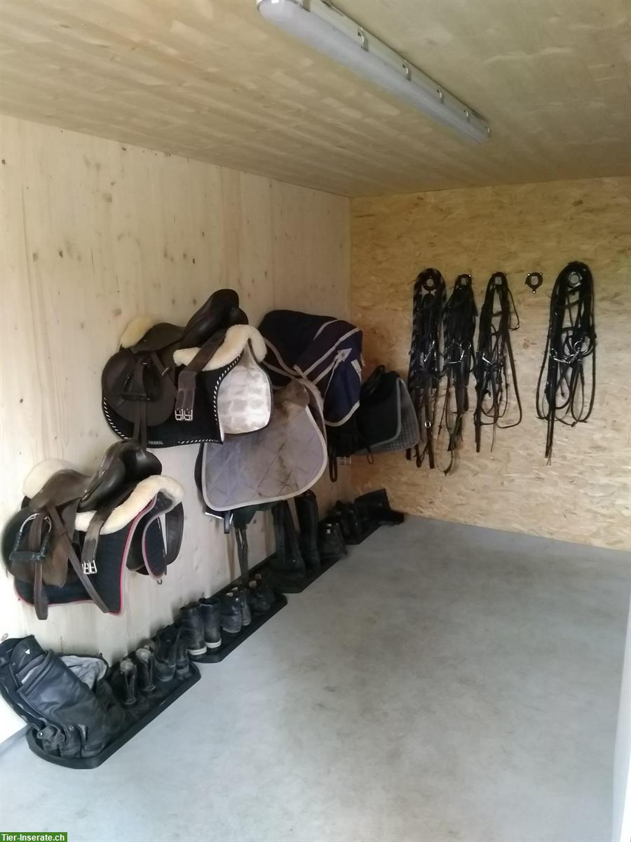 Bild 5: Auslaufboxe zu vermieten in Freidorf im Thurgau