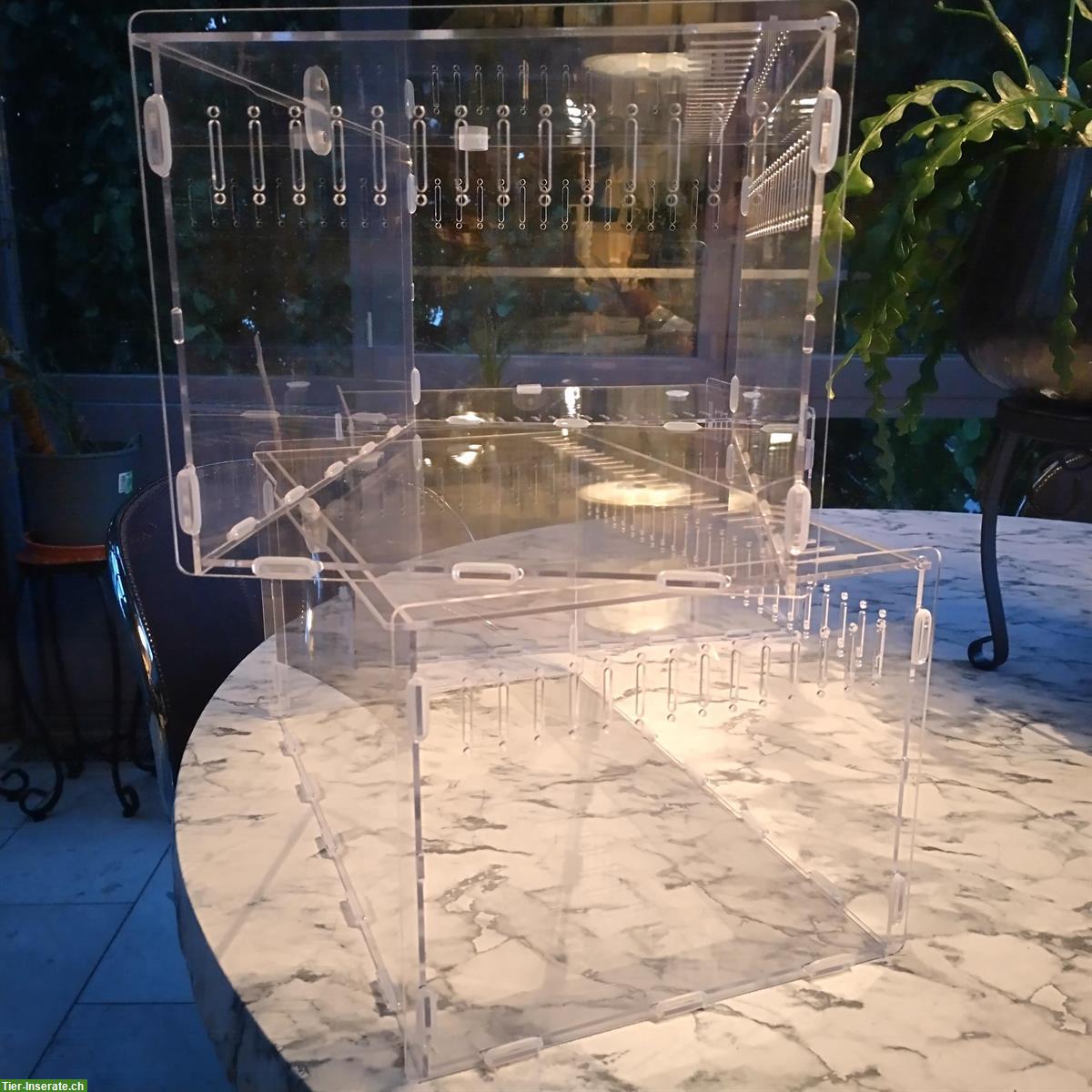 Bild 2: 3x Faunabox aus Acryl ca. 40x25x20cm