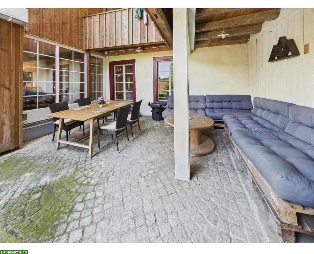 Bild 9: 5.5-Zimmer Wohnung in Bauernhaus inklusive Pferdestall