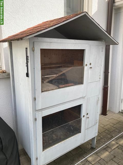 Kaninchen-/Meerschweinchenstall zu verkaufen