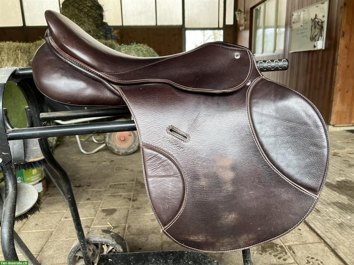Springsattel Passier Condor 17.5 Zoll zu verkaufen