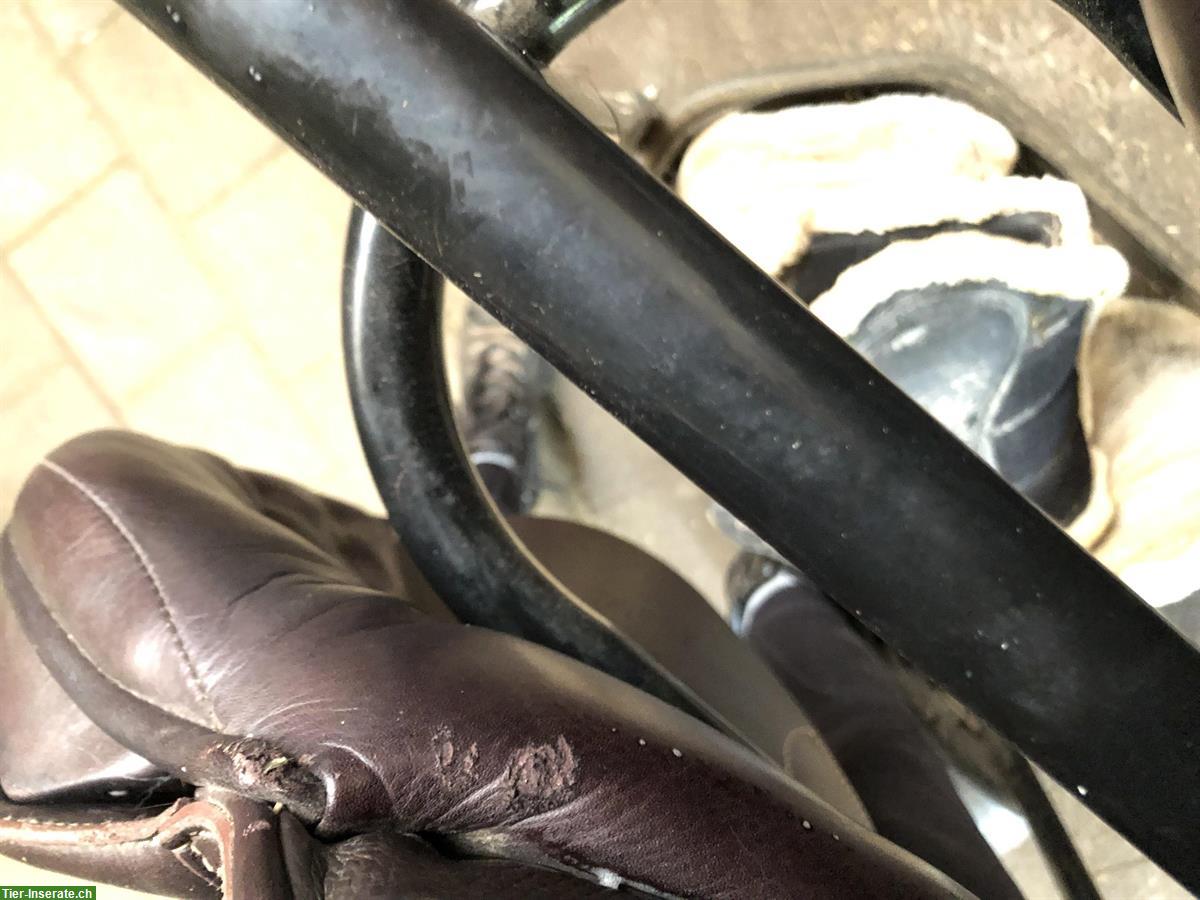Bild 6: Springsattel Passier Condor 17.5 Zoll zu verkaufen
