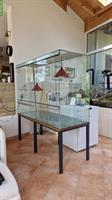 Aquaterrarium / Paludarium aus Glas zu verkaufen