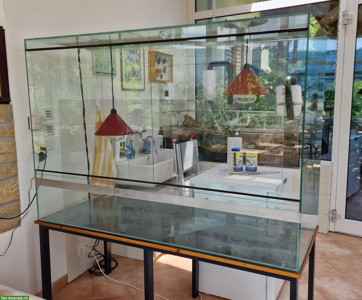 Bild 2: Aquaterrarium / Paludarium aus Glas zu verkaufen