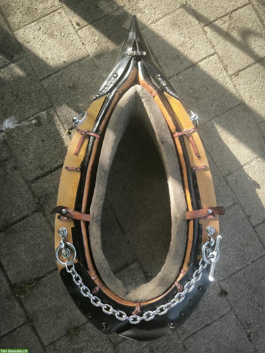 Spitzkumt Rückegeschirr komplett zu verkaufen