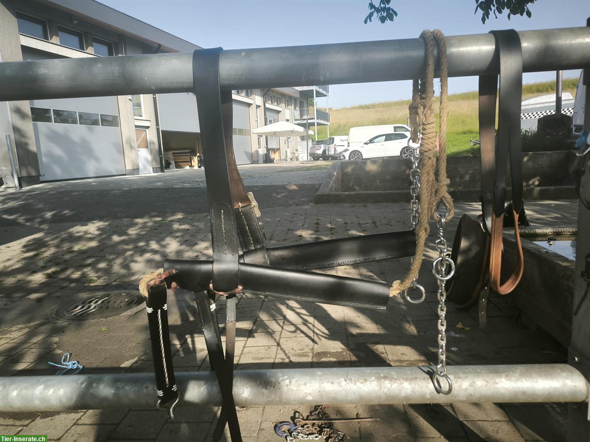 Bild 4: Spitzkumt Rückegeschirr komplett zu verkaufen