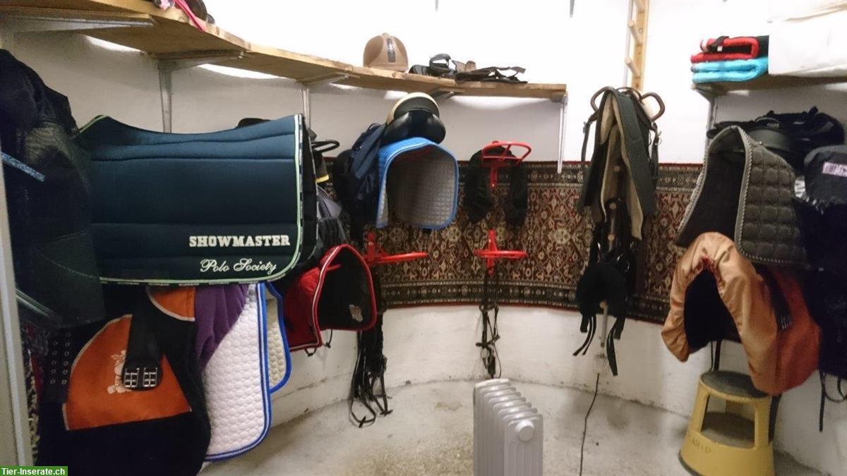 Bild 5: Helle und grosse Einzelauslaufbox zu vermieten in Embrach