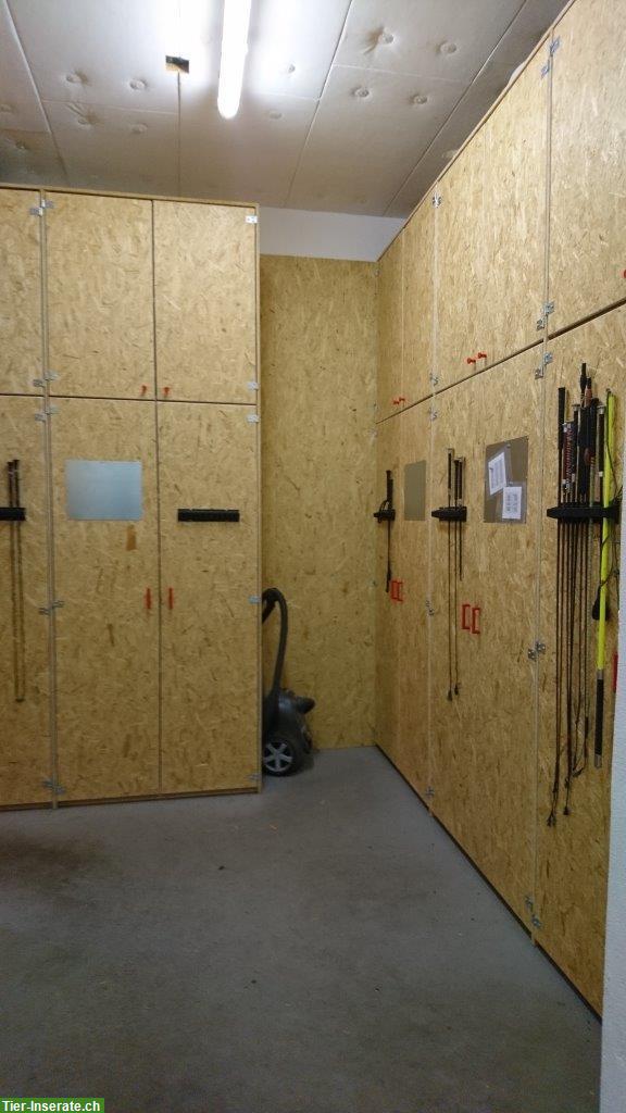 Bild 6: Helle und grosse Einzelauslaufbox zu vermieten in Embrach