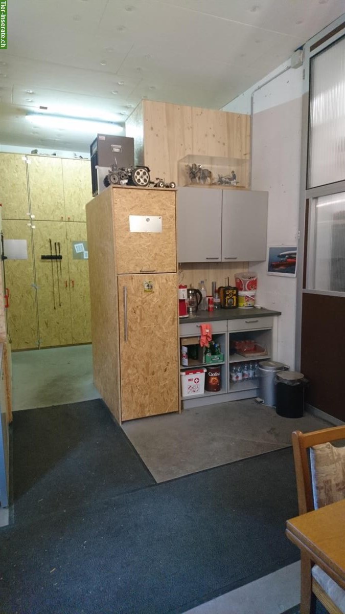 Bild 8: Helle und grosse Einzelauslaufbox zu vermieten in Embrach