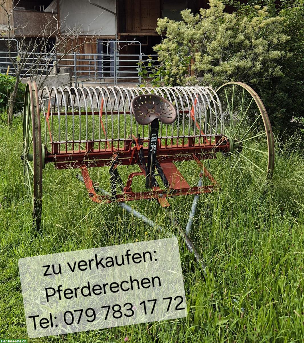 Verkauf: Pferderechen mit Anhängedeichsel