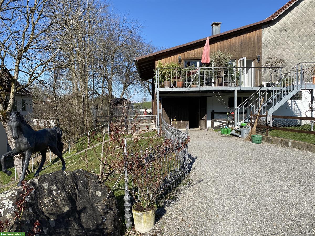 Bild 7: Loftwohnung auf der Schlossranch für Pferdefreunde