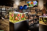 Suchen Tierpfleger/-in EFZ 20-40% für unsere Aquaristik Abteilung