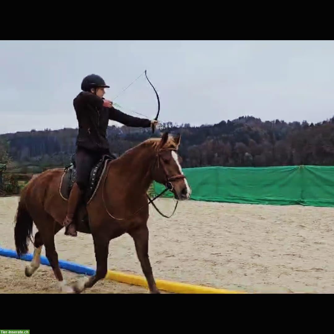 Bild 2: Reitbeteiligung für Freiberger Wallach in 3043 Möriswil BE