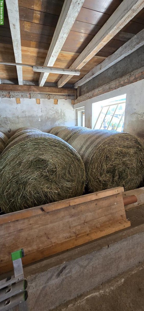 Sehr schöne Heu Rundballen zu verkaufen