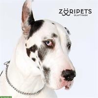 ZÜRIPETS® 24/7 Hundebetreuung, Hundepension, Hundetagesstätte