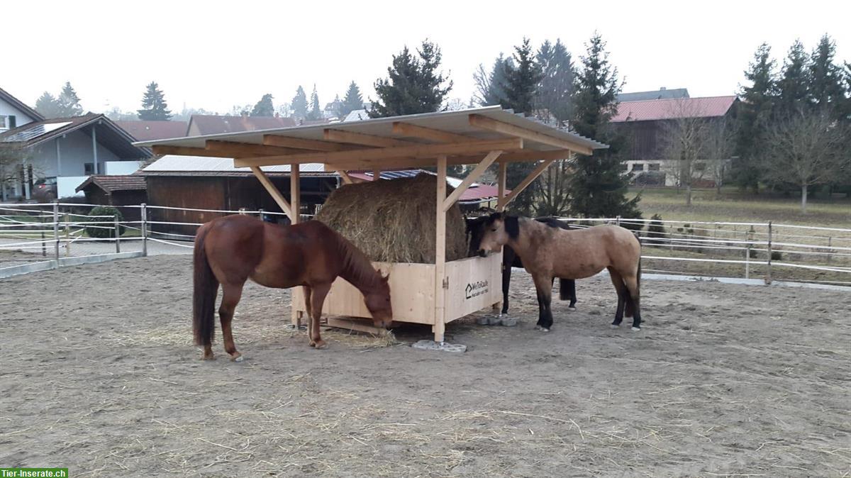 Freie Offenstallplätze in Dettighofen, nahe Schweizer Grenze