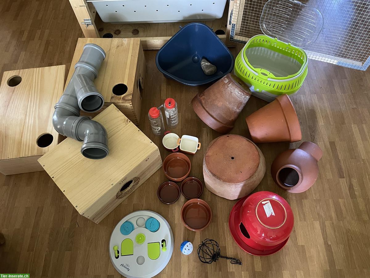 Bild 4: Selbstgemachten Rattenkäfig zu verkaufen