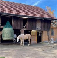 Zu vermieten Selbstversorger Stall in Farnern BE