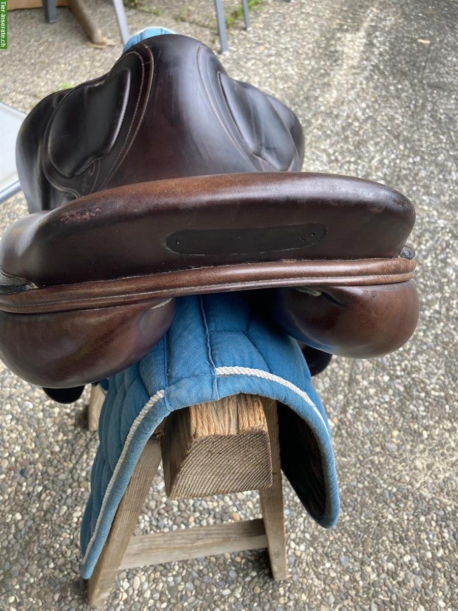 Bild 3: Amerigo Pinerolo Springsattel 17.5 Zoll zu verkaufen