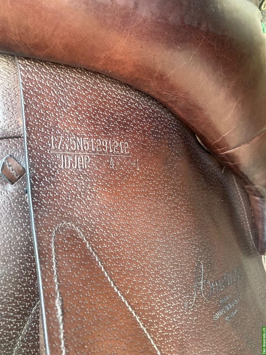 Bild 6: Amerigo Pinerolo Springsattel 17.5 Zoll zu verkaufen