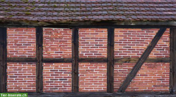 Bild 2: Suchen Haus mit Stall im Aargau