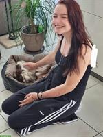 Günstiger Gassi Service für Hunde, Raum Buchs ZH