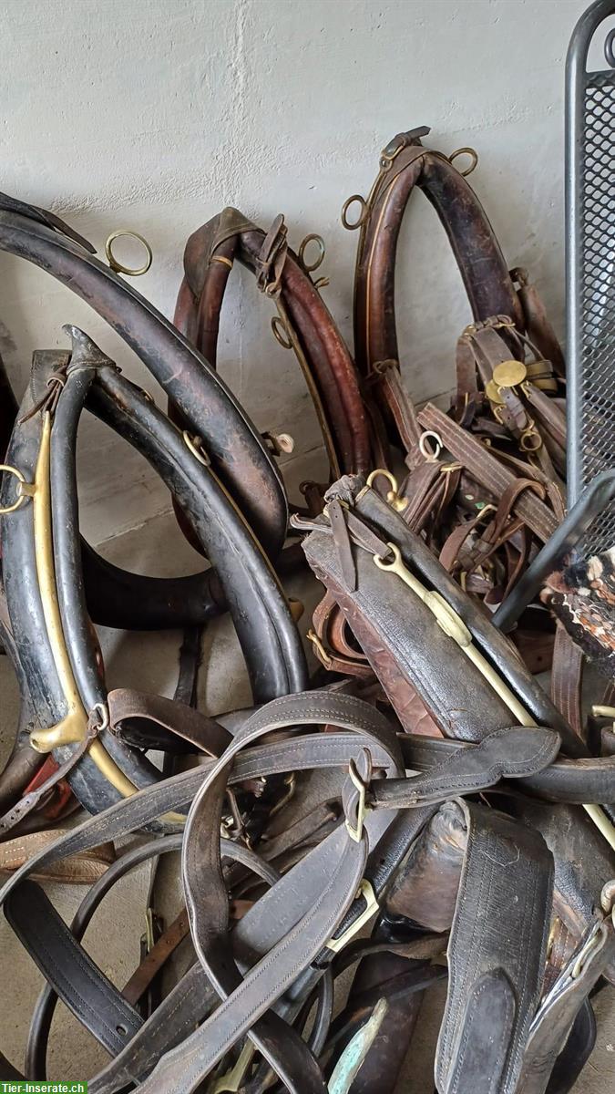 Diverses älteres Pferdezubehör GRATIS abzugeben