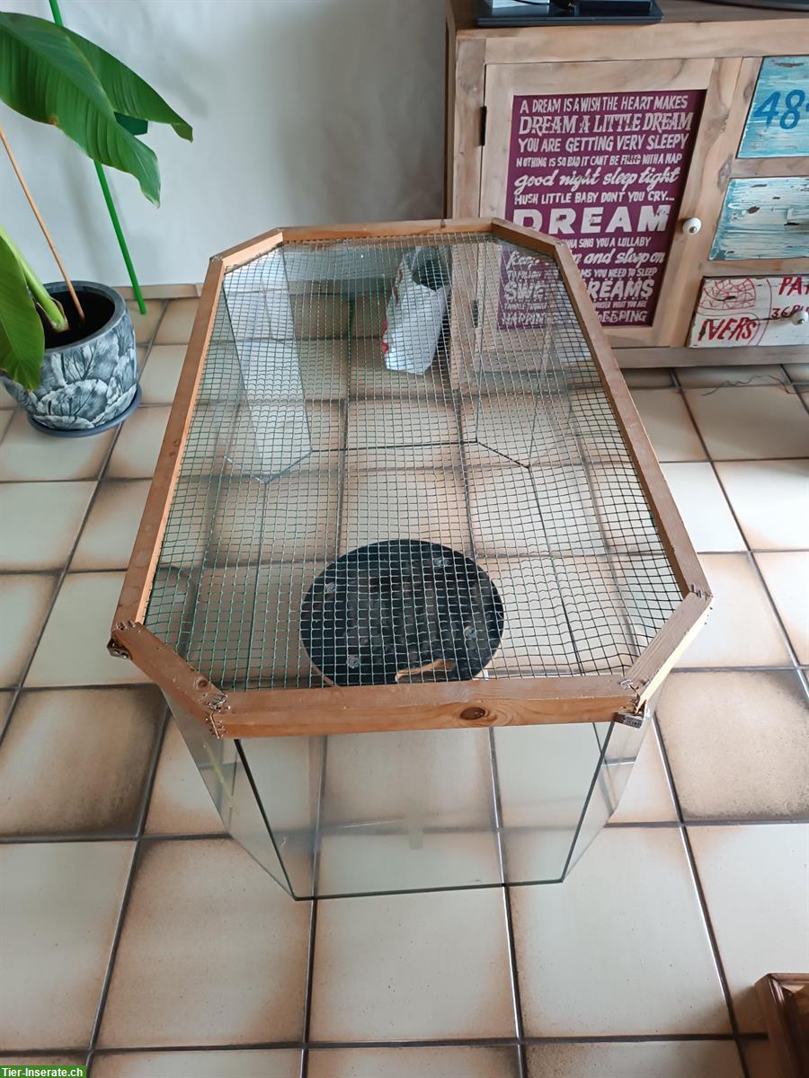 Bild 2: GRATIS: Nagerterrarium Glas 100x60x50cm abzugeben