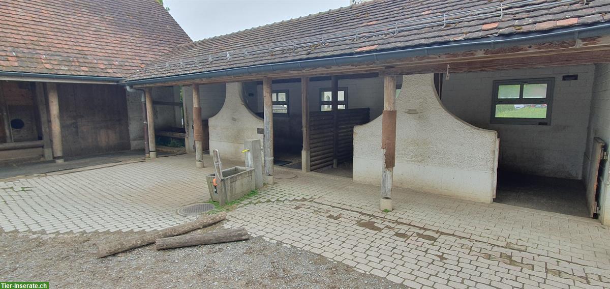 2 Plätze im Offenstall für Teilselbstversorger im Aargau
