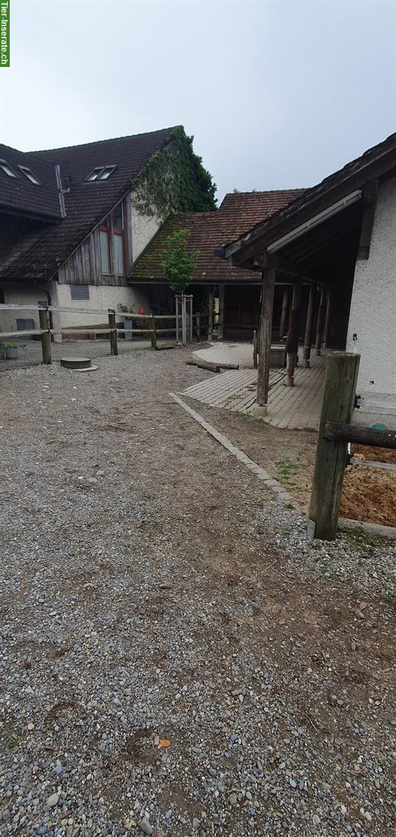 Bild 2: 2 Plätze im Offenstall für Teilselbstversorger im Aargau