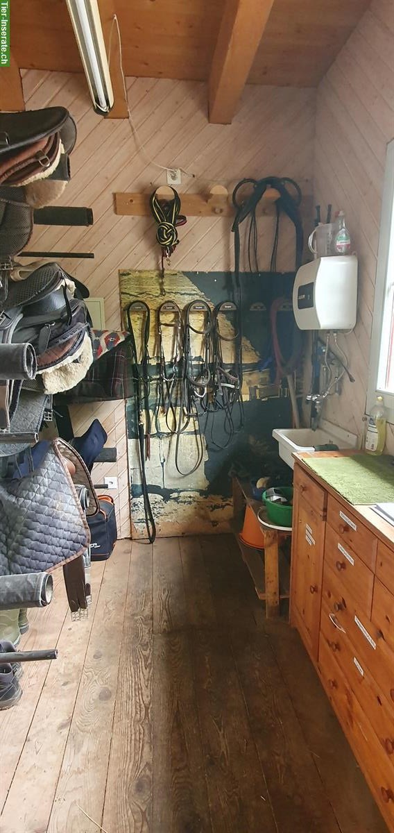 Bild 4: 2 Plätze im Offenstall für Teilselbstversorger im Aargau