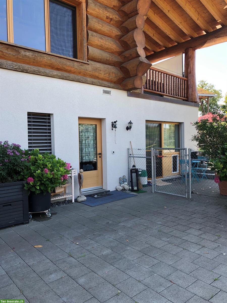 Bild 2: Moderne 2-Zimmer Wohnung im Blockhaus - Ideal für Haustierbesitzer