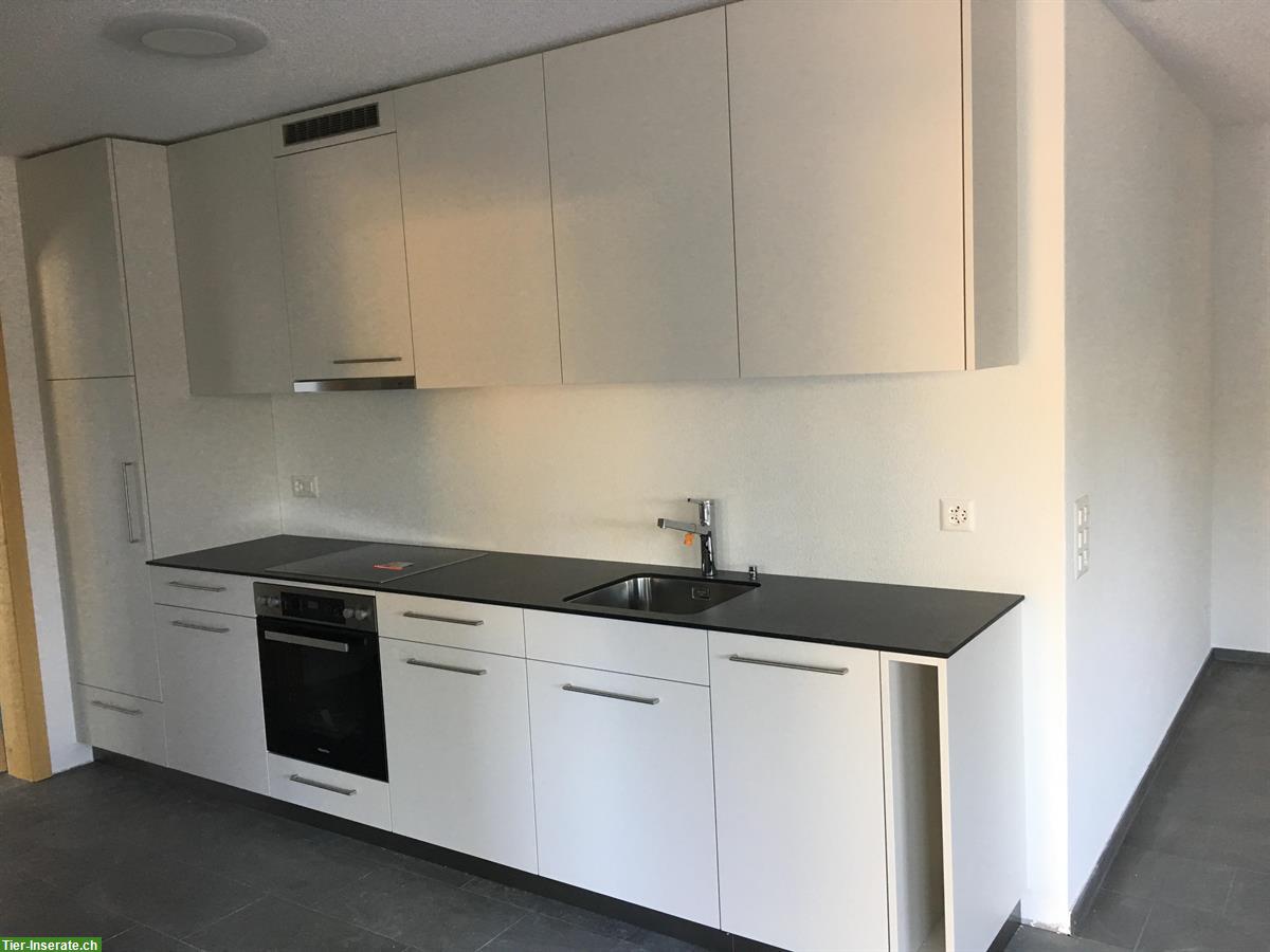 Bild 5: Moderne 2-Zimmer Wohnung im Blockhaus - Ideal für Haustierbesitzer