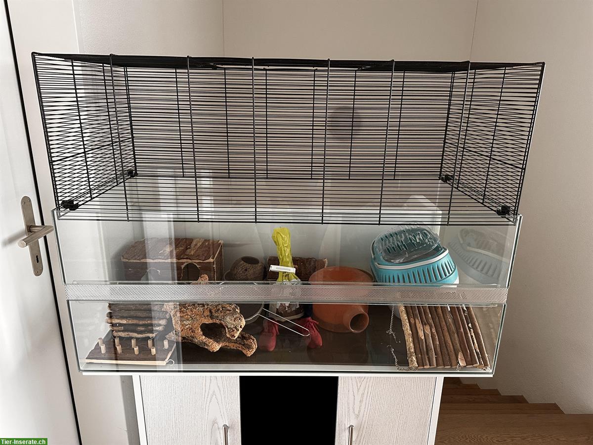 Nagerterrarium mit Unterschrank und viel Zubehör