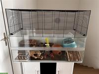 Nagerterrarium mit Unterschrank und viel Zubehör