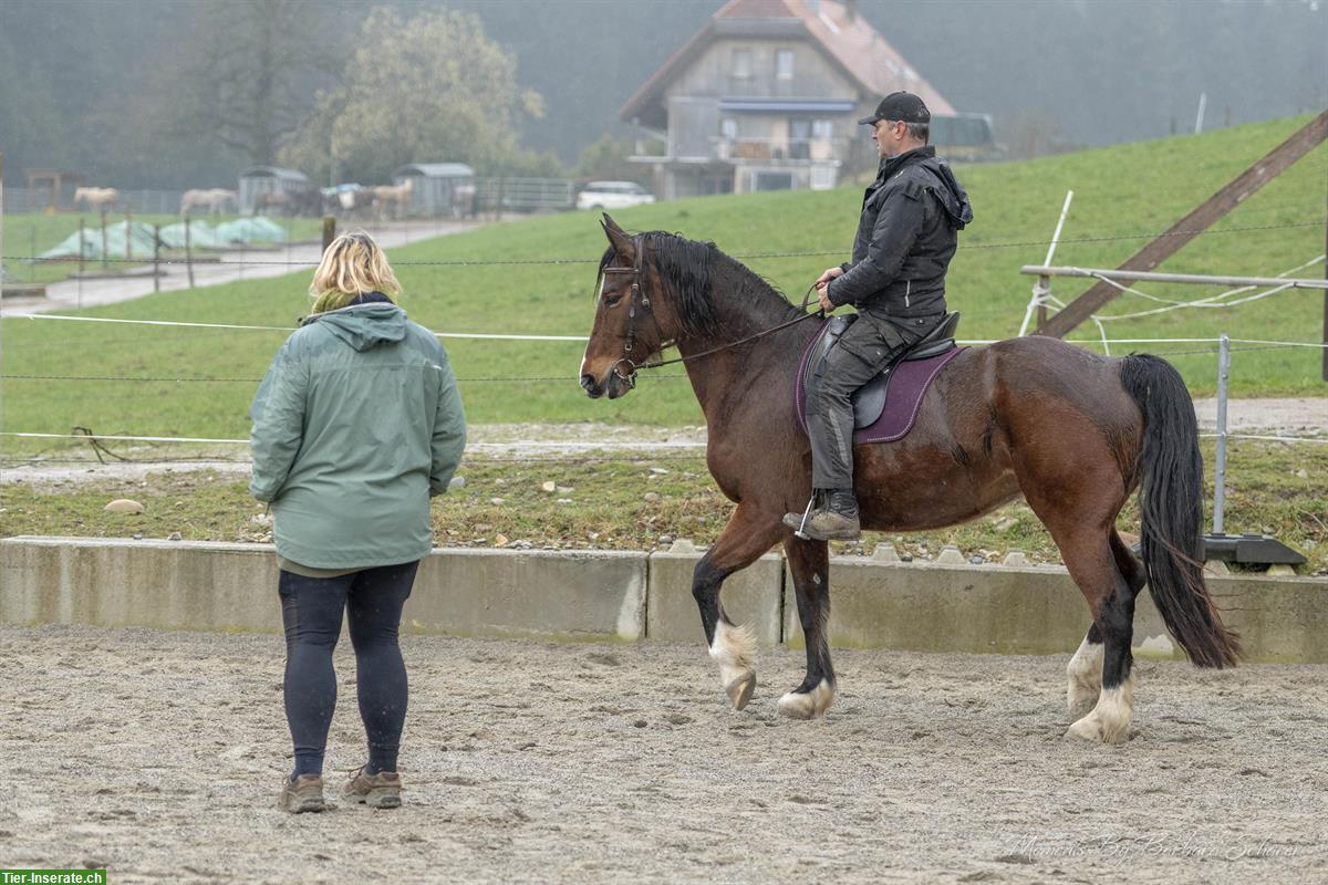 Bild 3: 20./21. September Kurs: Trainerin Bewegungsschulung, Balance
