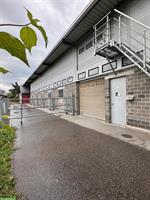 Pferdestall mit 5 Boxen zu vermieten in Diepoldsau SG