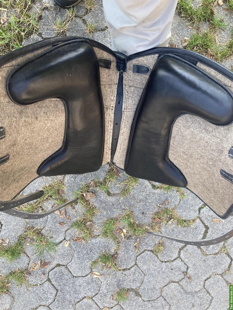 Bild 3: Filzsattel von La Selle, Modell Comfort