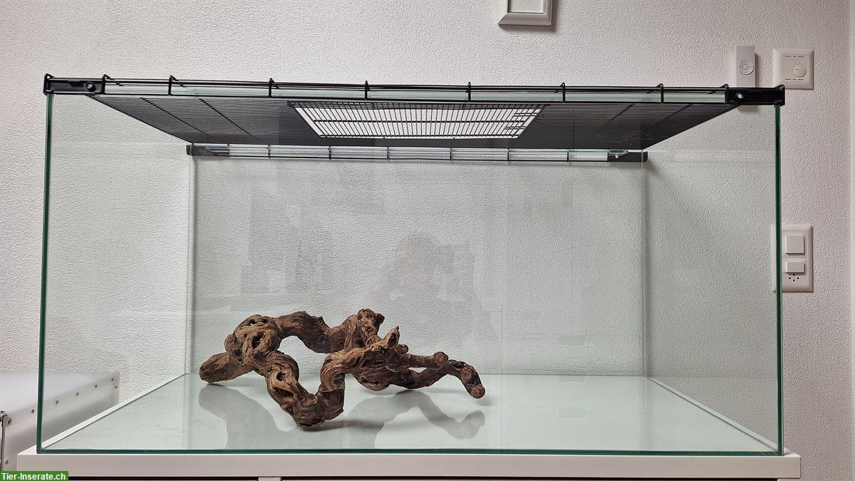 Bild 2: Nagerterrarium 100×50×50cm aus Glas zu verkaufen