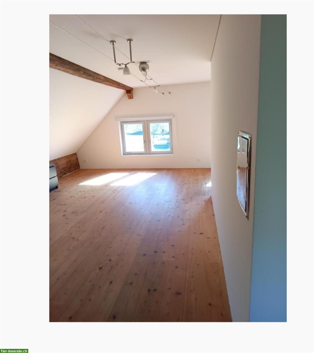 Bild 10: 3,5 - Zimmer Haus (3-Stöckig) mit Pferdestall und Weide zu vermieten