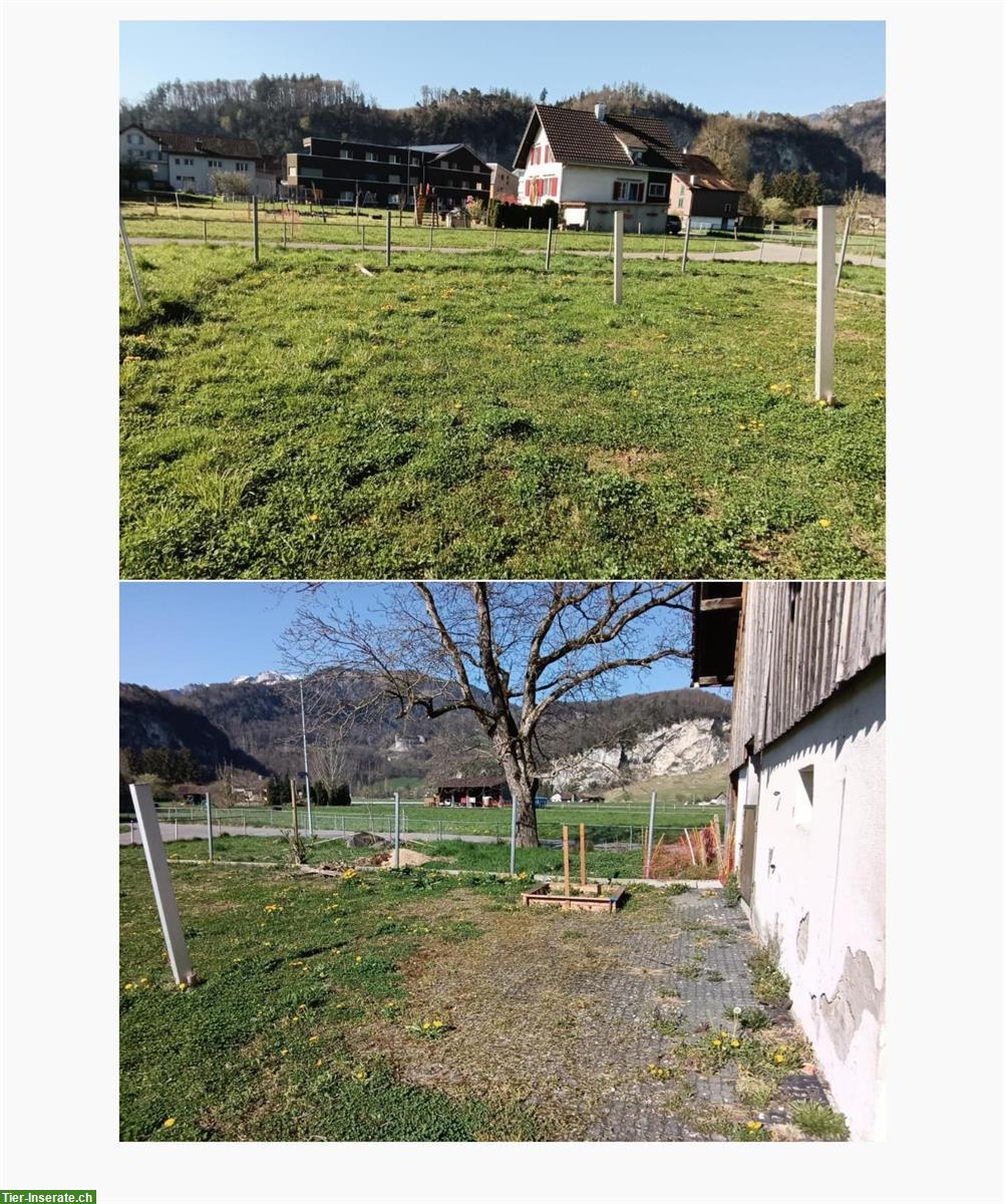 Bild 4: 3,5 - Zimmer Haus (3-Stöckig) mit Pferdestall und Weide zu vermieten