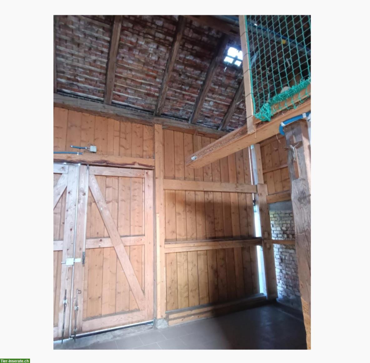 Bild 5: 3,5 - Zimmer Haus (3-Stöckig) mit Pferdestall und Weide zu vermieten