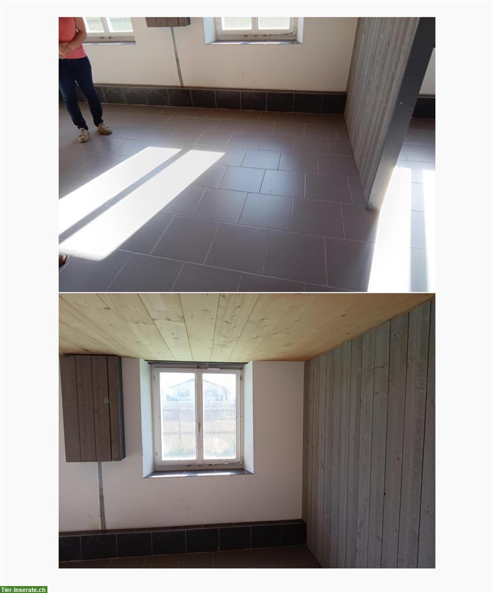 Bild 7: 3,5 - Zimmer Haus (3-Stöckig) mit Pferdestall und Weide zu vermieten
