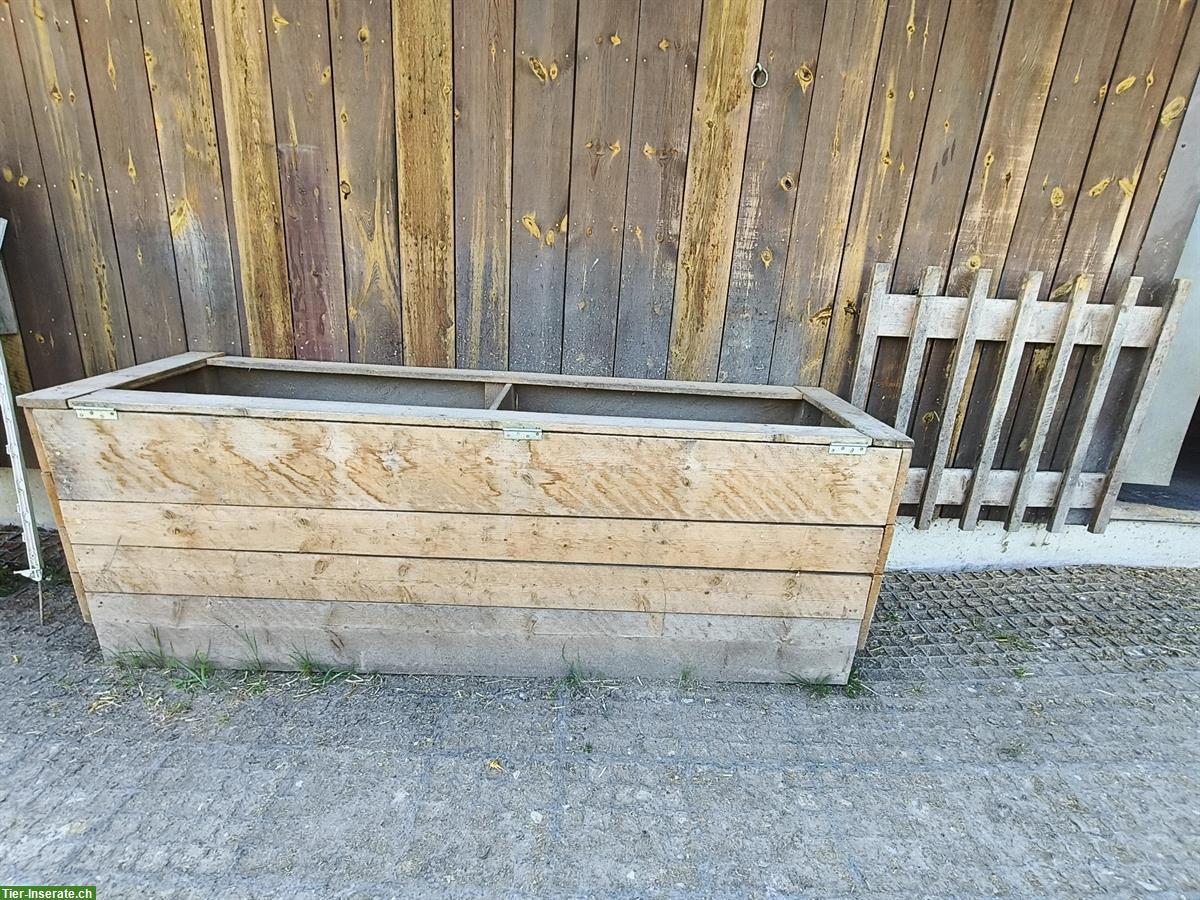 Bild 3: Massive Heukiste zu verkaufen