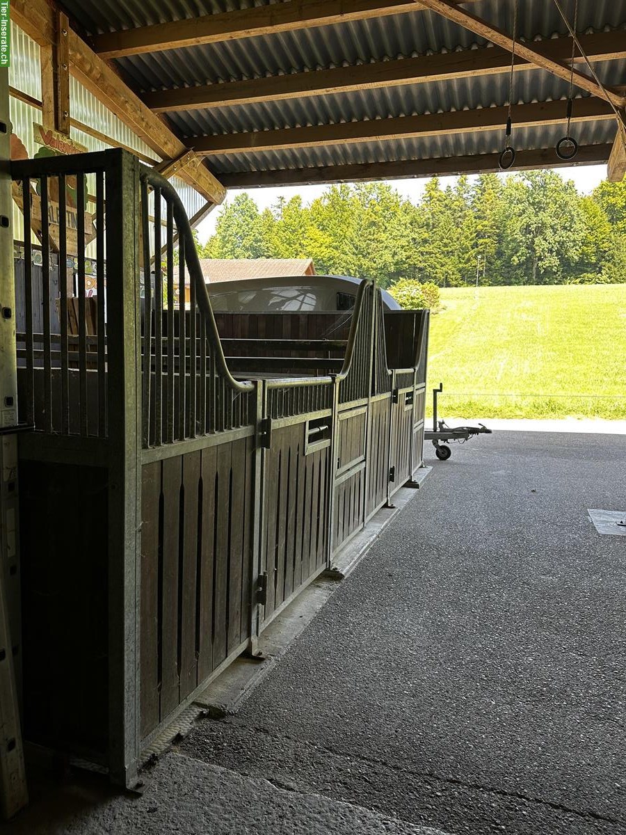 Bild 7: Offenstall Platz frei in Ruswil im Kanton Luzern