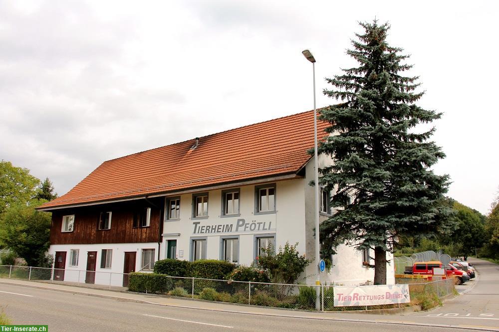 Praktikumsstelle Tierpflege 100% mit Anspruch auf die Lehrstelle