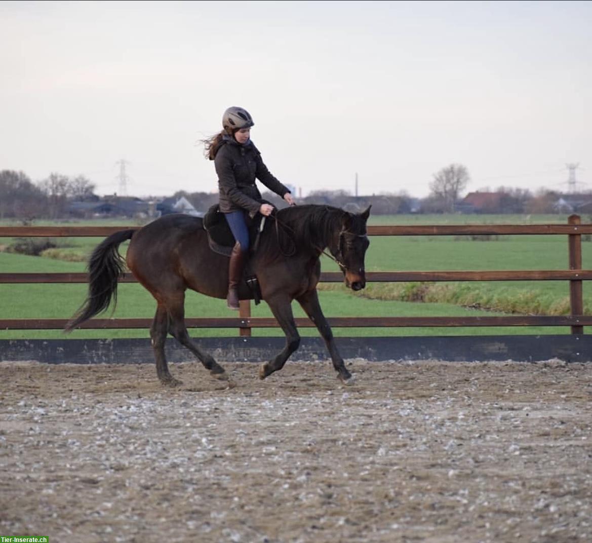 Bild 3: Unterricht in Boden/Handarbeit und Reitstunden